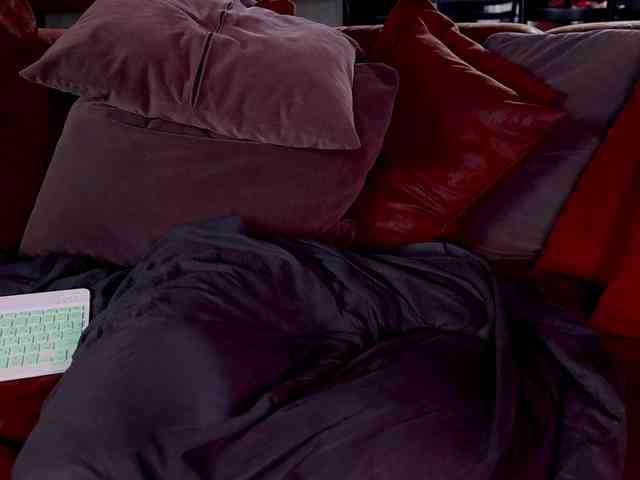 Iris-Nightingale webcam