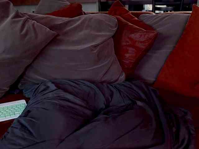Iris-Nightingale webcam