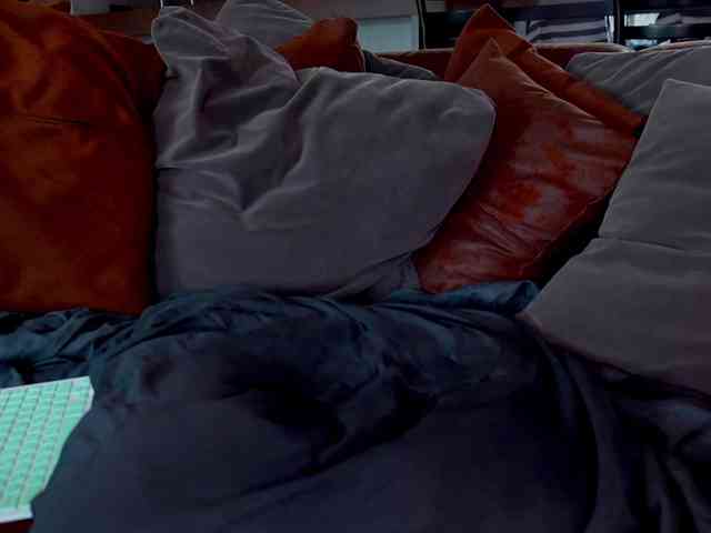 Iris-Nightingale webcam
