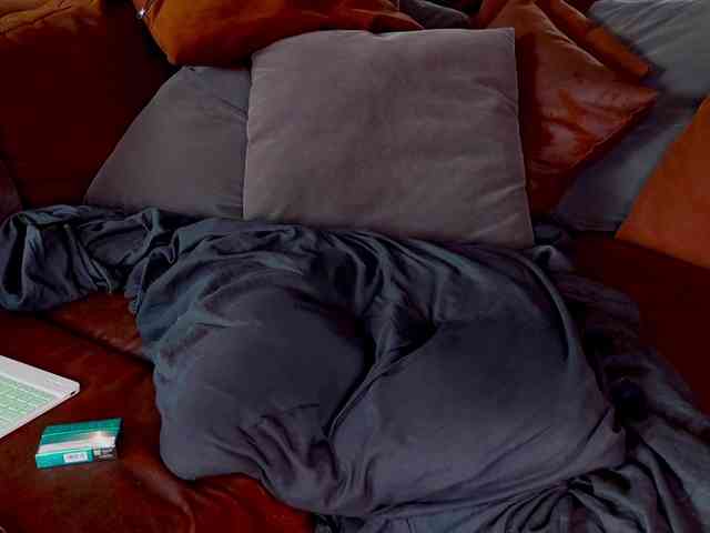 Iris-Nightingale webcam
