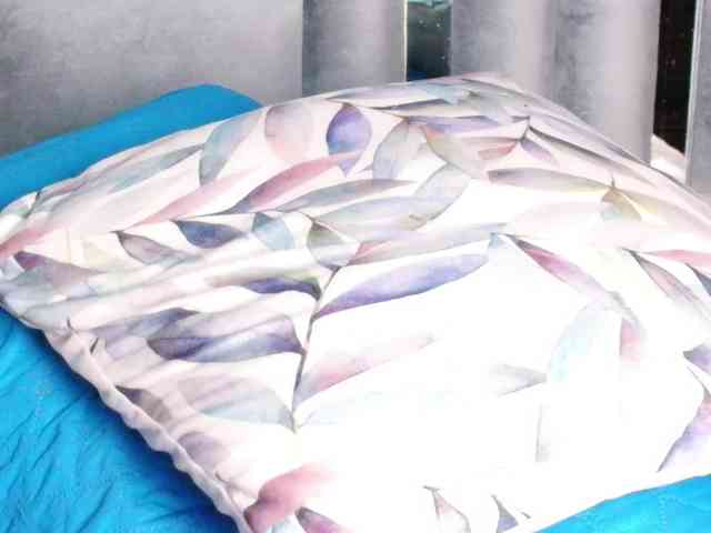 friendsmom webcam