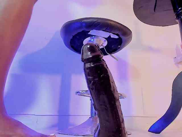 camilathomsson camilathomsson