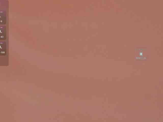 MsAura webcam