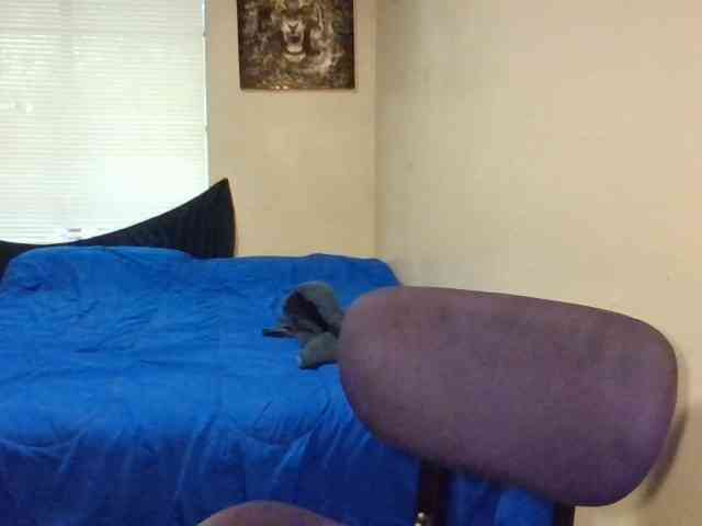 Needmehard webcam