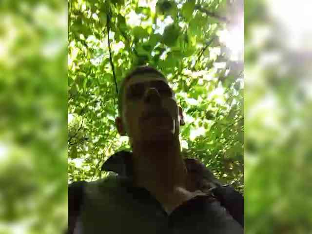 Mordasov