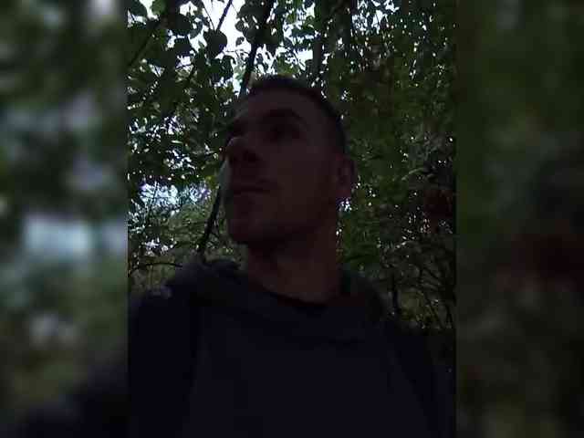 Mordasov