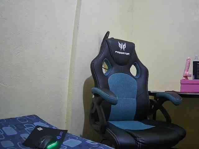 bluechick webcam