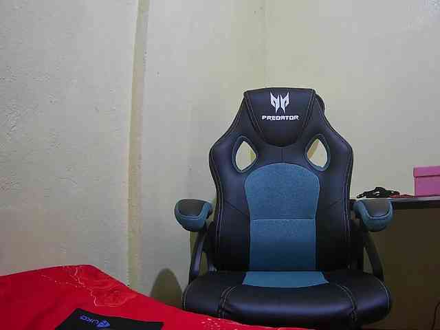 bluechick webcam