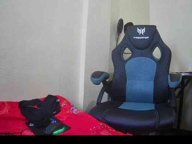 bluechick webcam