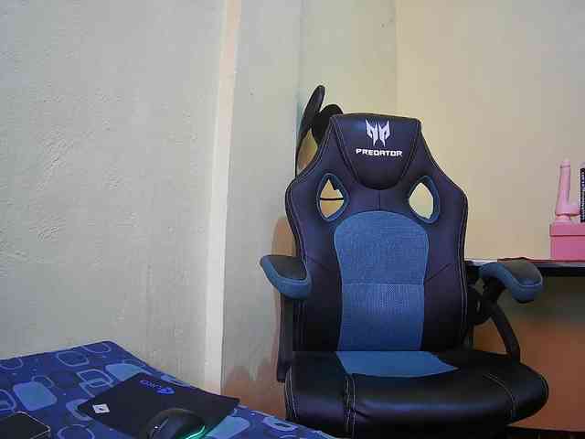 bluechick webcam