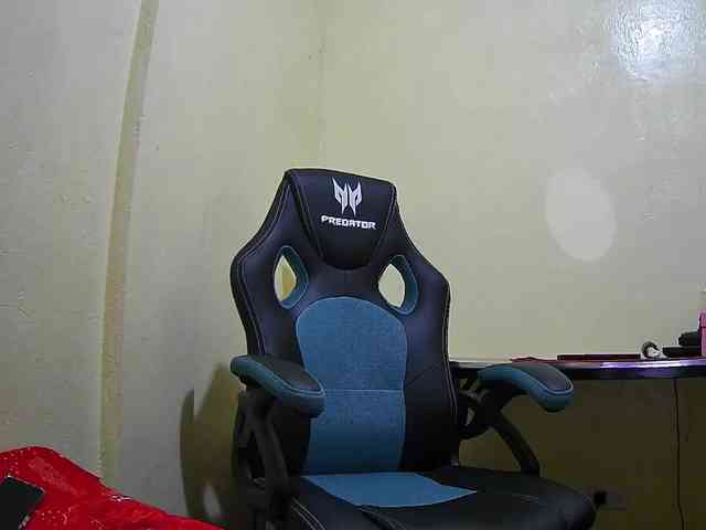 bluechick webcam