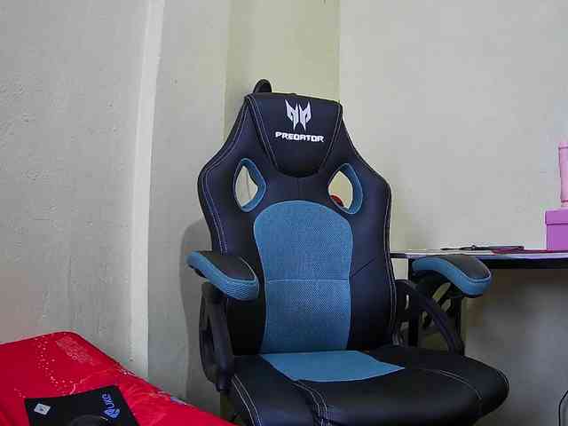 bluechick webcam
