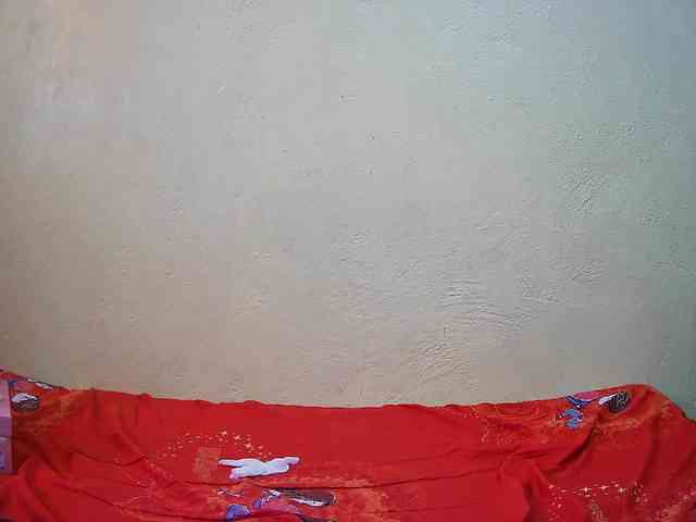 bluechick webcam
