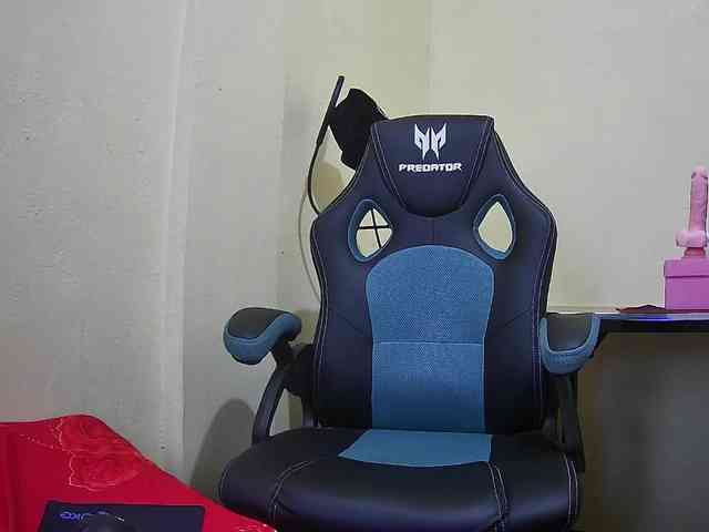 bluechick webcam
