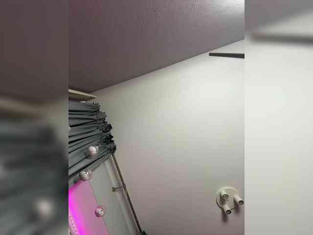 OAO_Sofi webcam
