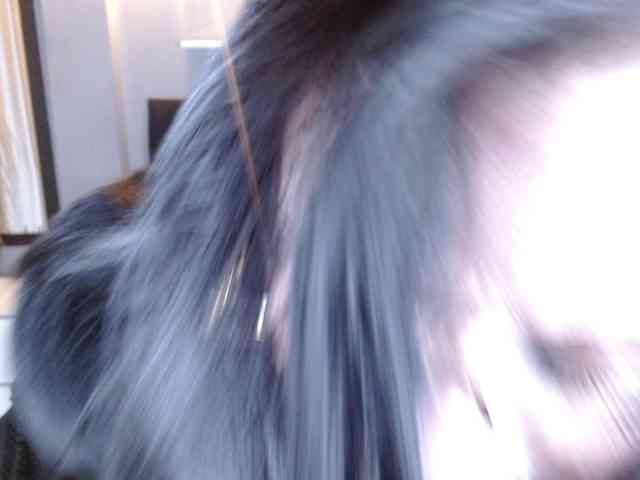 josephinemiller webcam