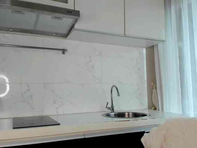 VincentiaX webcam
