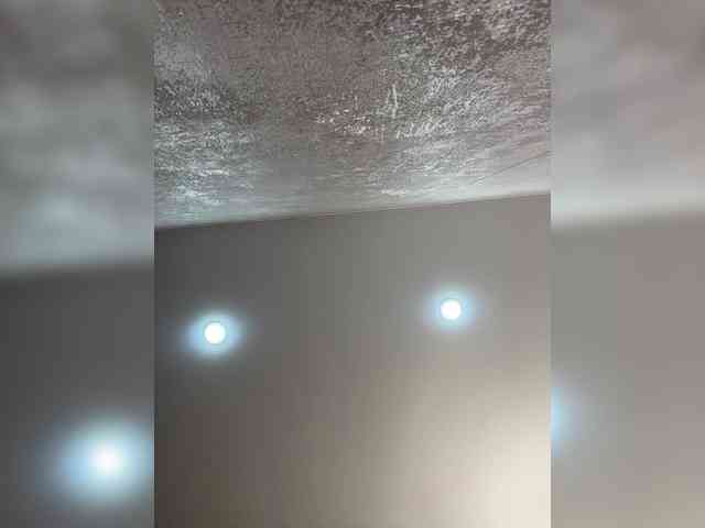 Etokiska webcam