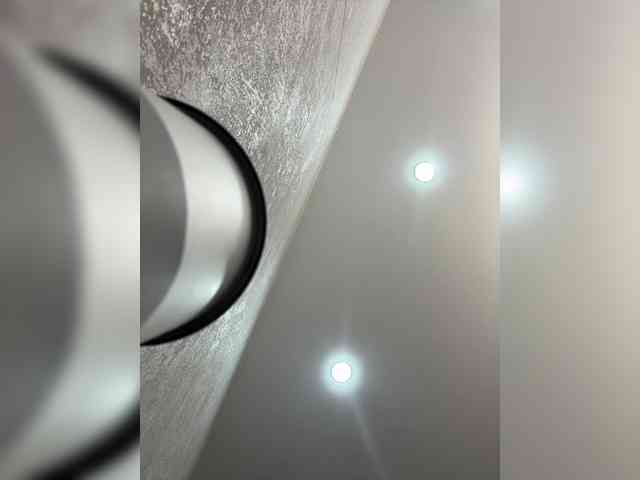 Etokiska webcam