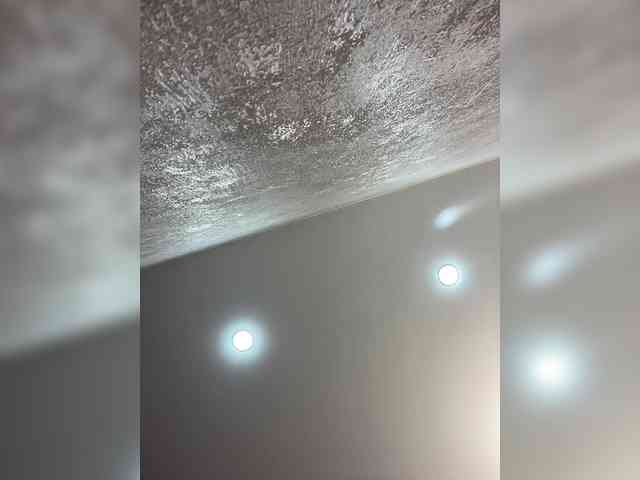 Etokiska webcam
