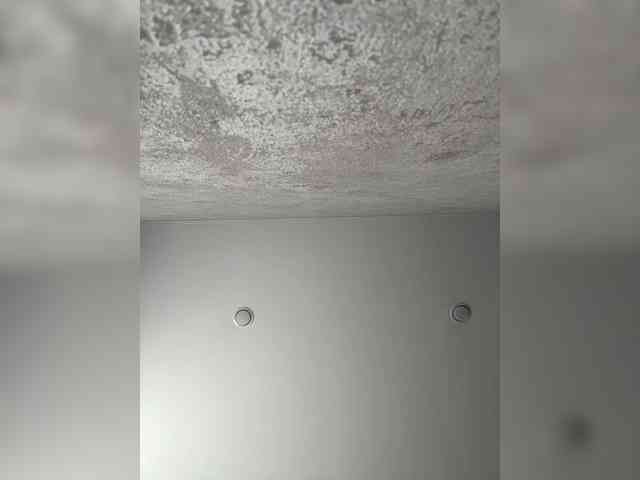 Etokiska webcam