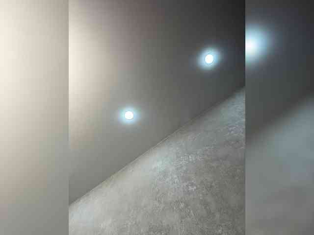 Etokiska webcam
