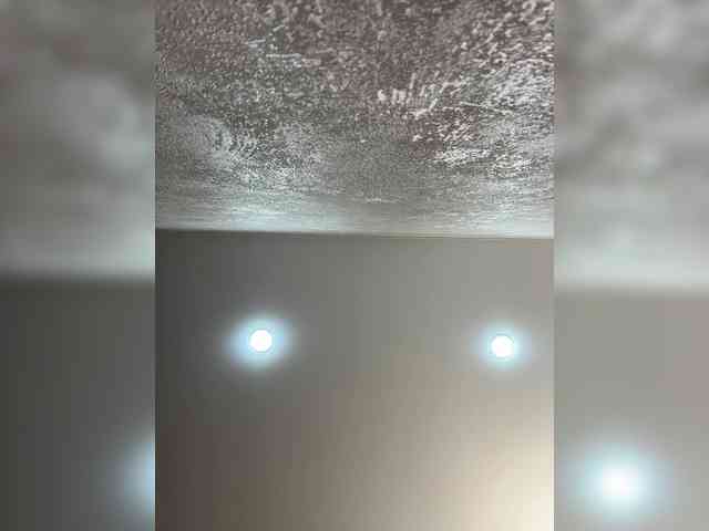 Etokiska webcam