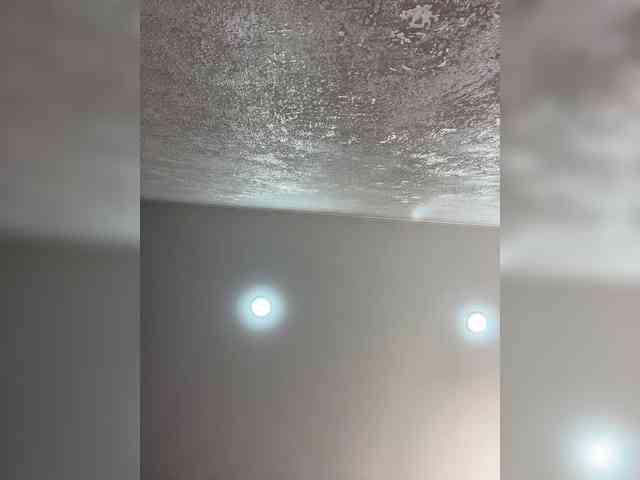 Etokiska webcam