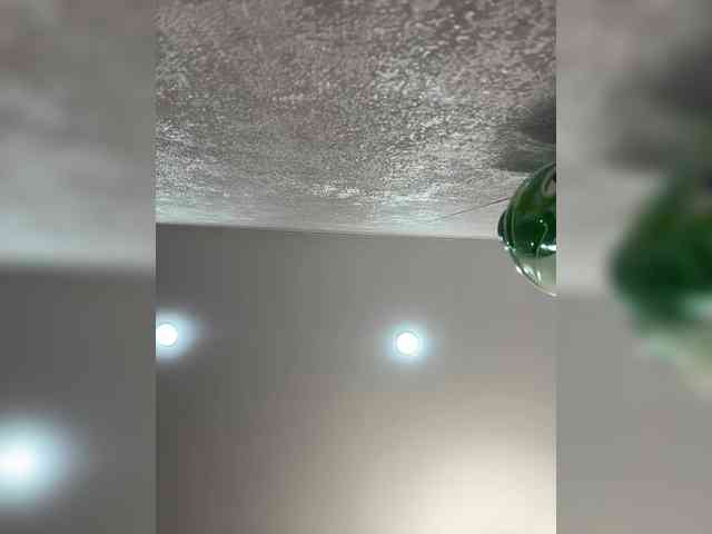 Etokiska webcam