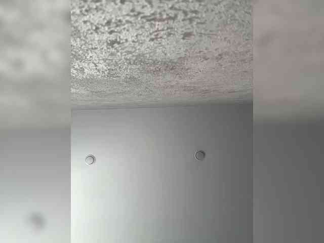 Etokiska webcam