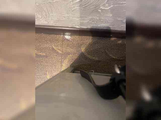 Soldat527 Live Webcam on BongaCams