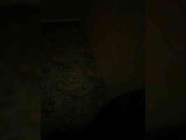 Night-furry77 Live Webcam on BongaCams