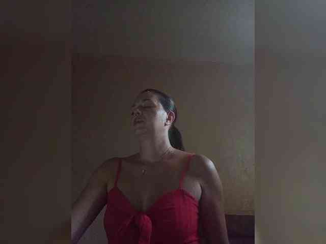 ladibug webcam