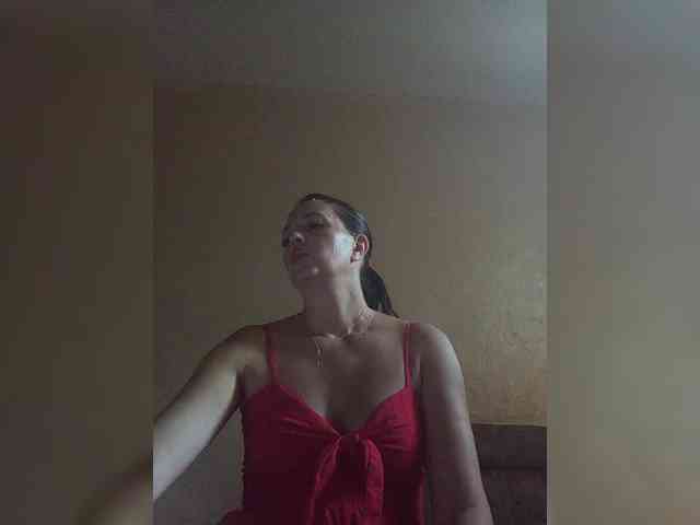 ladibug webcam