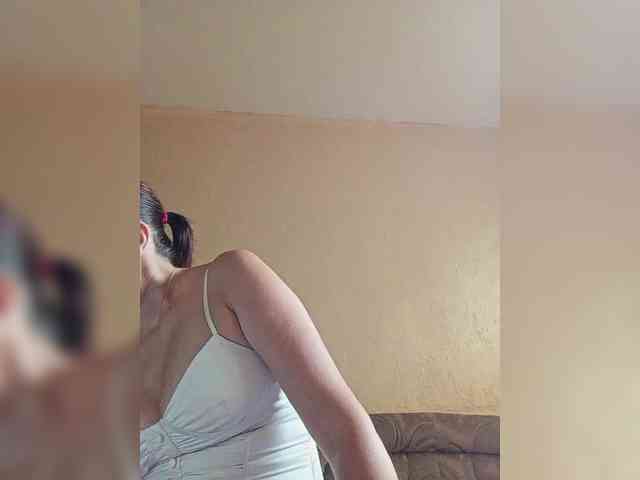 ladibug webcam