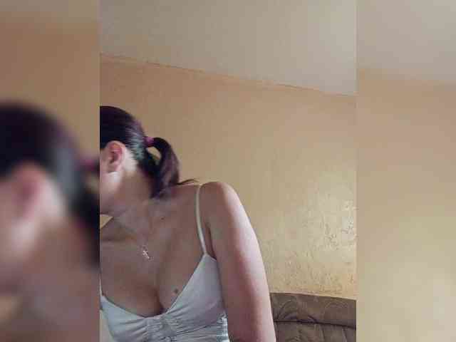 ladibug webcam