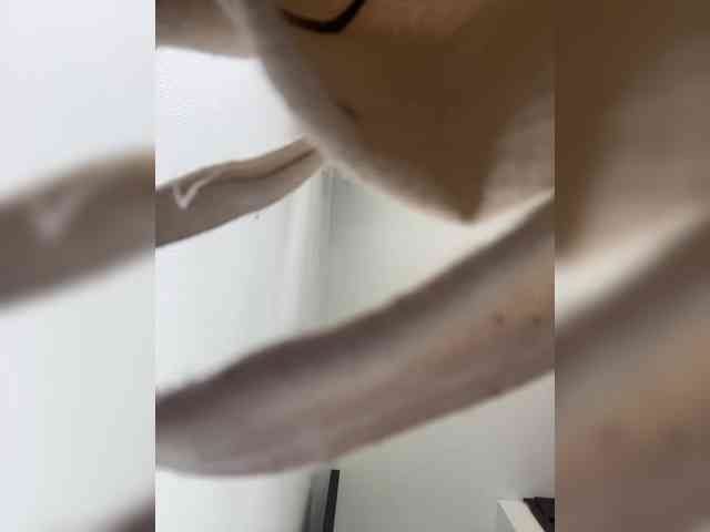 Gisellee-Roy webcam