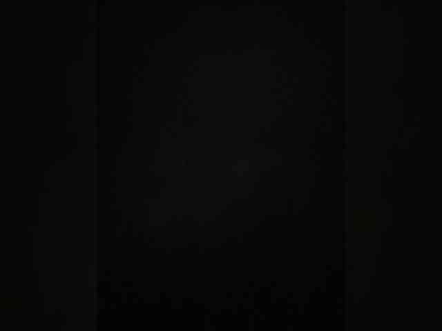 Gisellee-Roy webcam