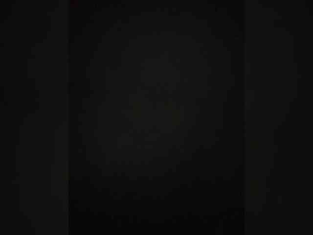 Gisellee-Roy webcam