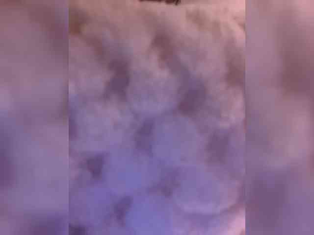 Gisellee-Roy webcam