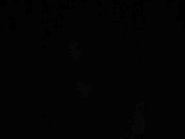 Gisellee-Roy webcam