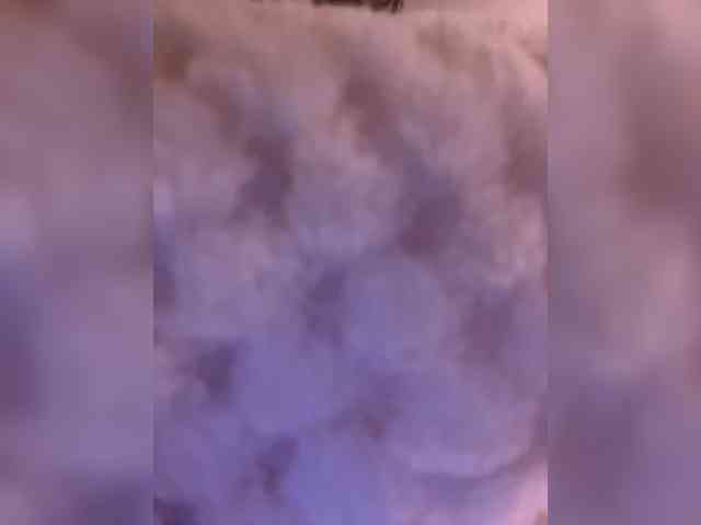 Gisellee-Roy webcam