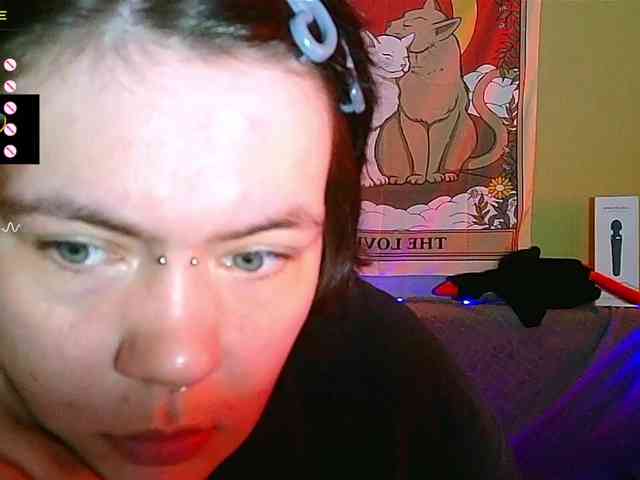 Missmedaer
