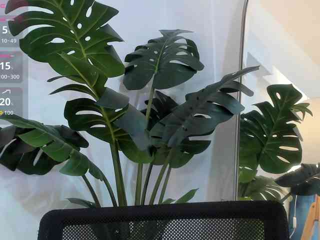 radiagazali- radiagazali-