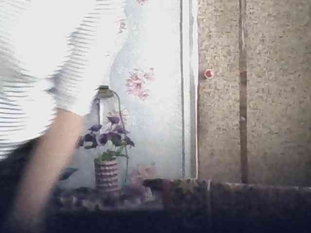 Success100 webcam