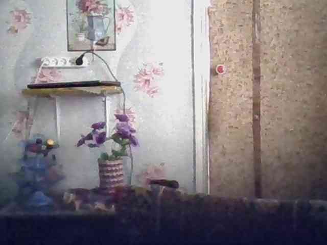 Success100 webcam