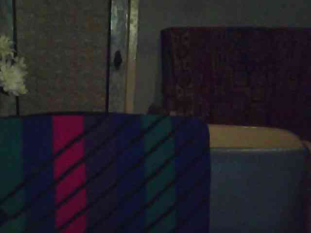 Success100 webcam
