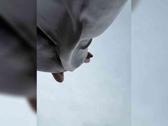 wlcm2talilia webcam