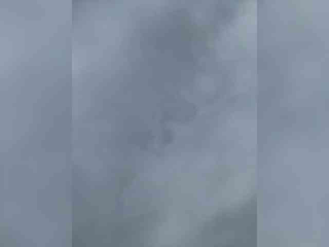wlcm2talilia webcam