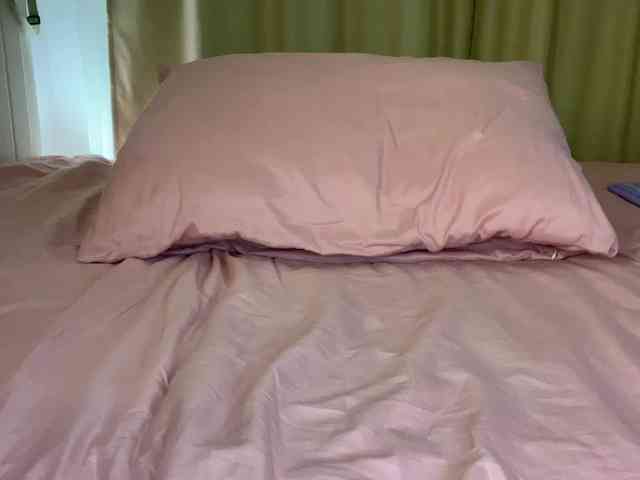 BabyTamagochi webcam